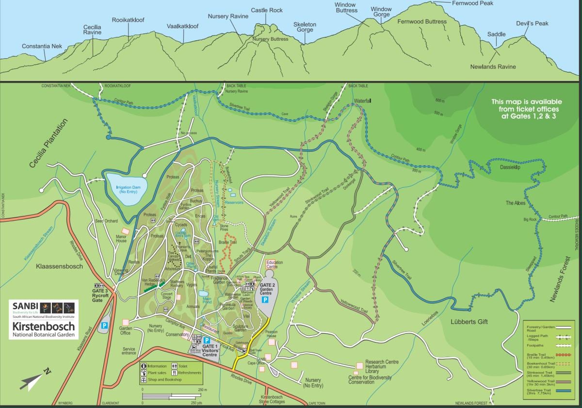 зураг kirstenbosch