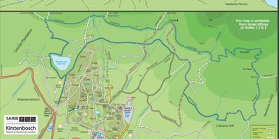 Зураг kirstenbosch